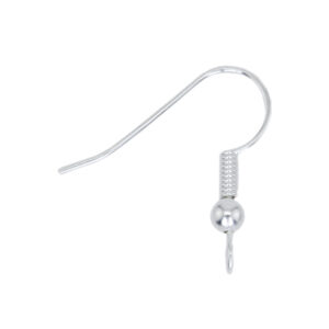 Ear Wires - Stainless Steel